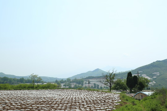 田園風(fēng)光