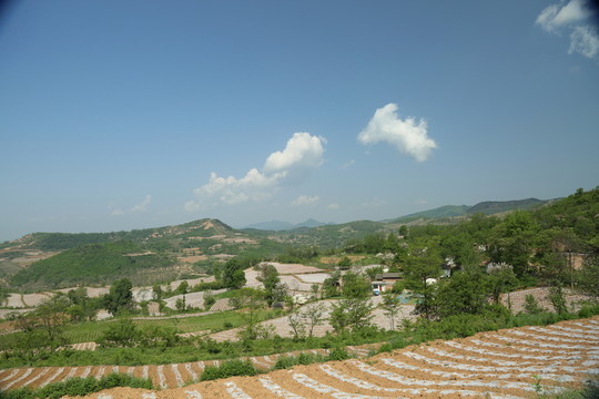 田園風(fēng)光