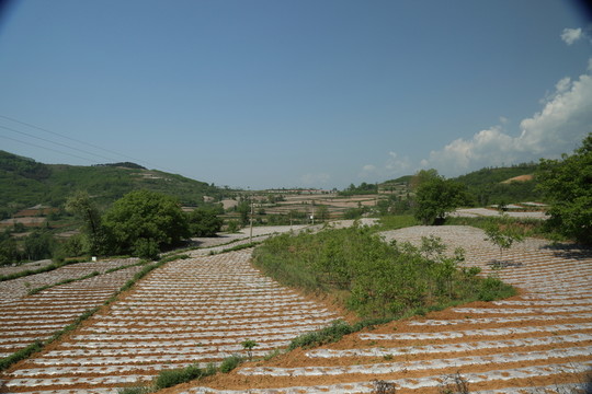 田園風光