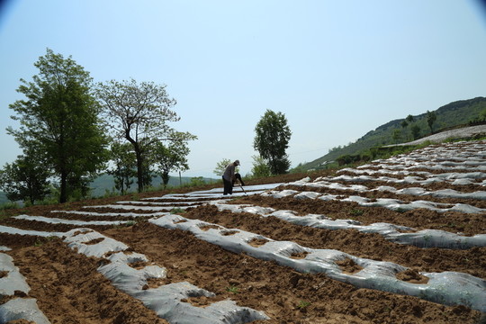 田園美景