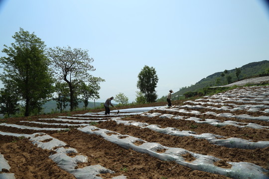 田園美景