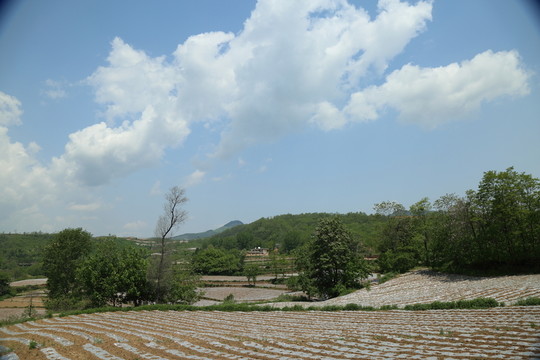 田園美景