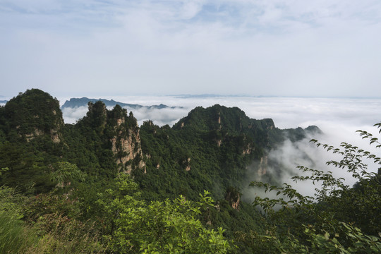 云海