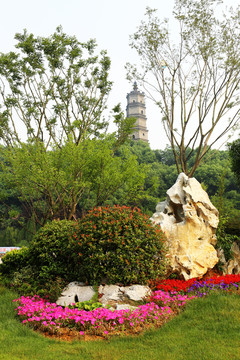 公園