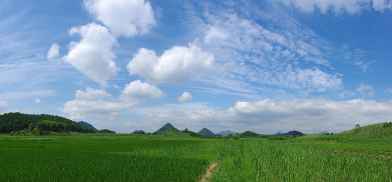 綠色田野 生態(tài)環(huán)境