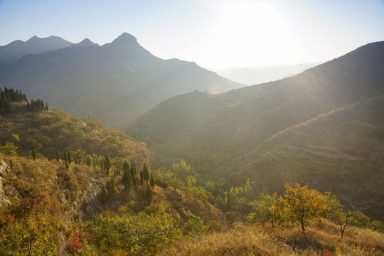 遠山