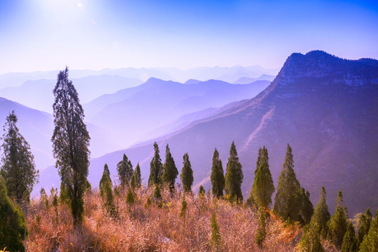 遠山