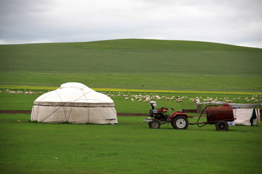 夏季草原牧场上的蒙古包
