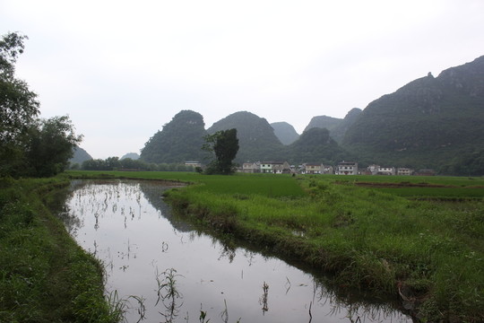 會仙風(fēng)光