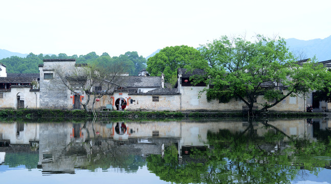 宏村小景