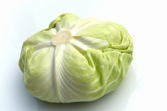 包菜
