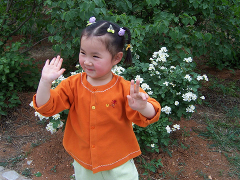 可愛的baby
