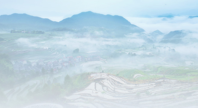 梯田