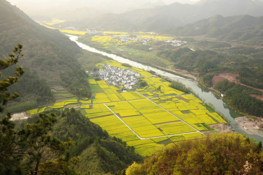 安徽黃山歙縣霞坑鎮(zhèn)石潭油菜花