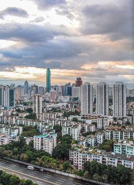 深圳園嶺