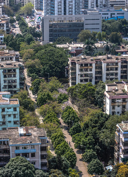 園嶺中路