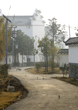 價(jià)目表的新農(nóng)村環(huán)境