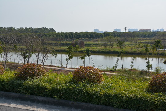 小島