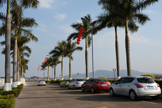 蕉林