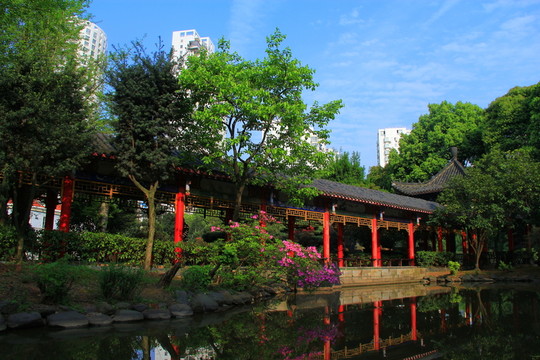 華雅華雅華雅公園華雅閣