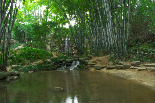 長(zhǎng)沙南郊公園水流竹苑竹林