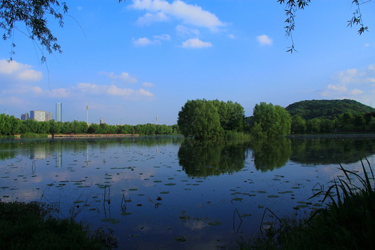 桃子湖公園