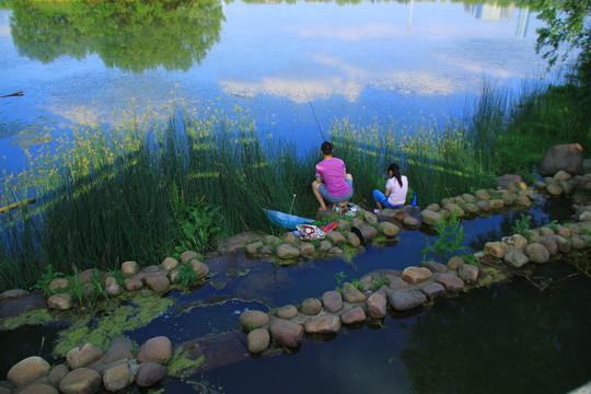 桃子湖公園情侶釣魚