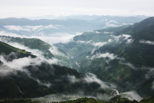 四川涼山馬邊大風(fēng)頂云霧