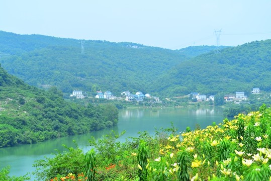 百合花基地