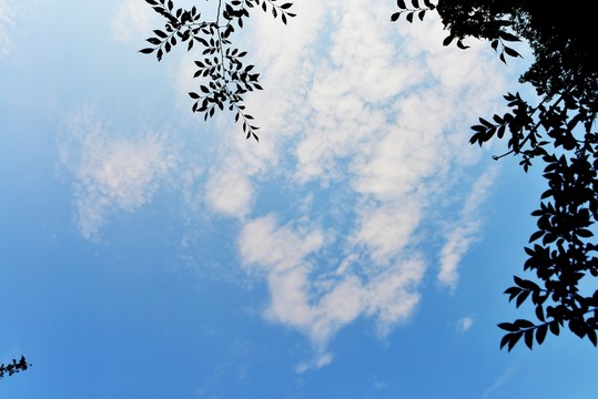 天空