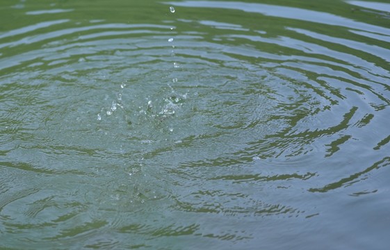 水