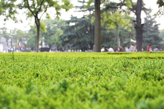 蘇州公園一角