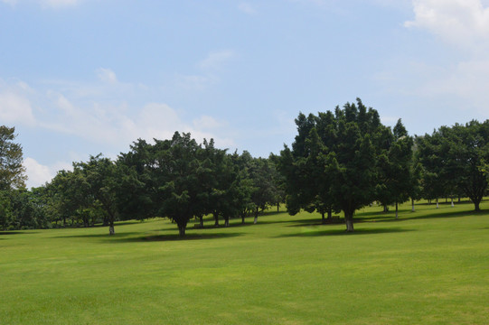 草地森林藍(lán)天