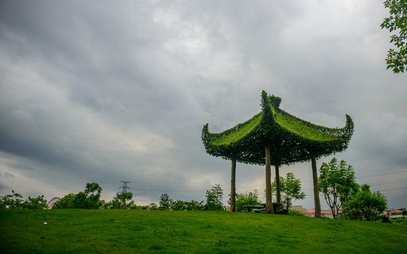 風(fēng)雨亭榕樹造景