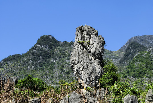 貴州興義泥凼石林