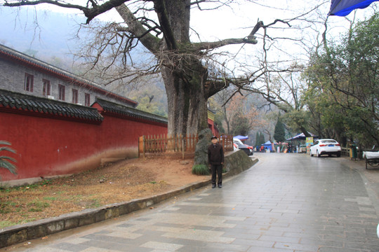 玉泉寺