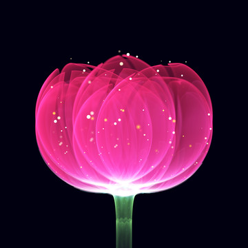 花卉
