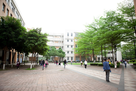 大學
