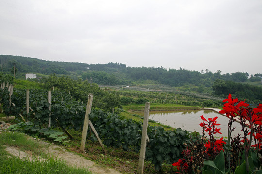 生態(tài)果園 生態(tài)農(nóng)場