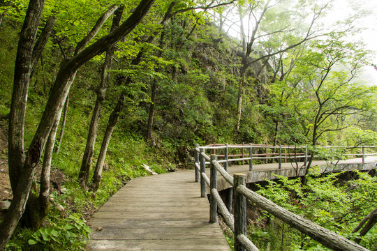 景區(qū)步道
