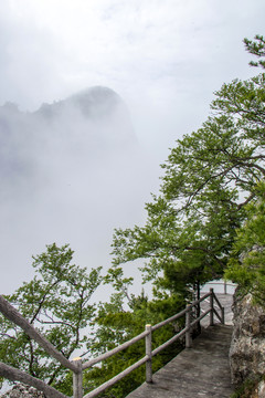 天竺山風(fēng)光