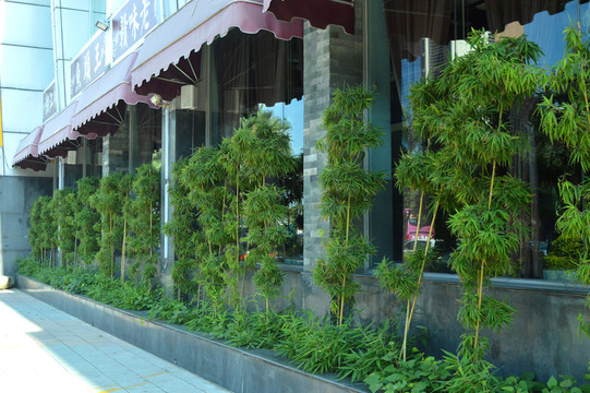 店面綠化