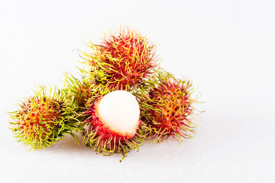 紅牡丹