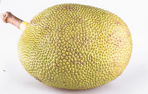 菠蘿蜜