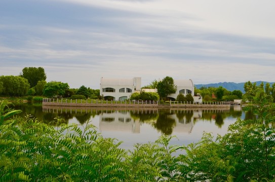 稻香湖濕地公園