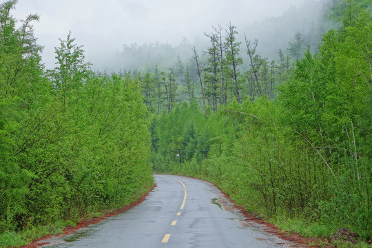 山林云霧