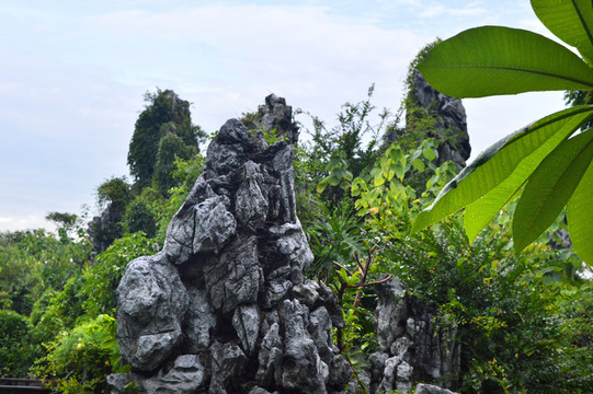 假山