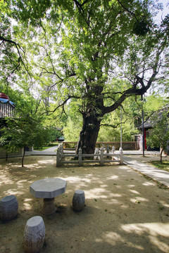 范公亭公園