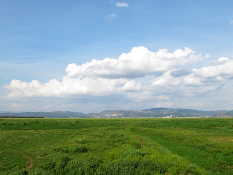 藍(lán)天白云草地