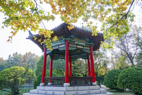 公園秋色